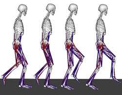 Gait Classification